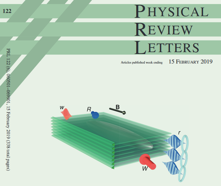 Cover of Physical Review Letters, 15 February 2019, illustrating spin waves stored in an atomic memory